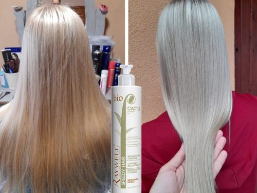 Raywell BIO CACTUS – Speedy Hair 